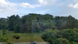 Gambir Ridge (D19), Apartment #426251971